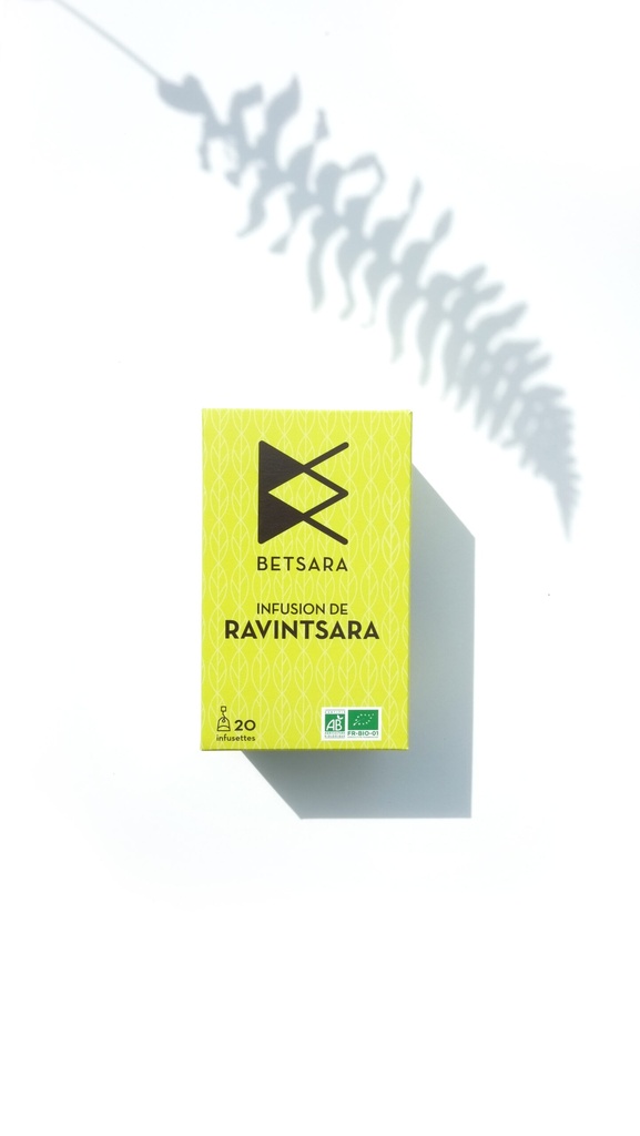 Tisane de Ravintsara (feuilles) en infusettes Bio